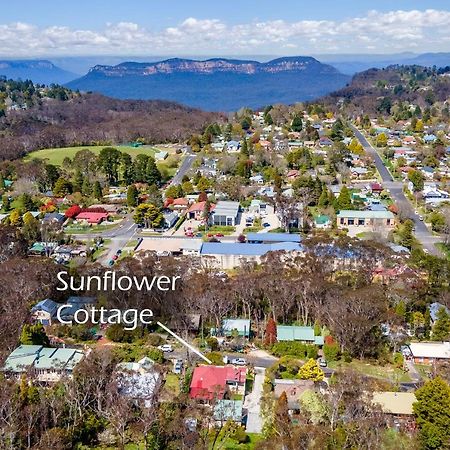 Sunflower Cottage 肯图巴 外观 照片